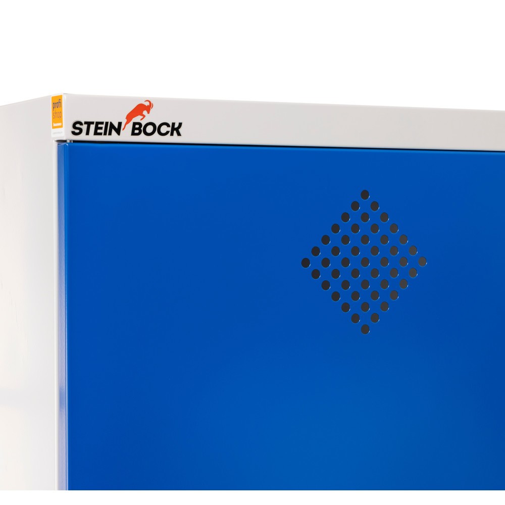 Produktbillede nr. 4: Steinbock® kemikalieskab, 4 bundkar til gulvet i henhold til StawaR, HxBxT 1.950 x 950 x 500 mm